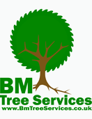 BM Tree Services